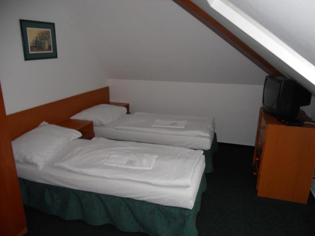 Penzion Oaza Hotel Steti Room photo